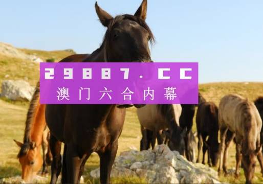 澳门管家婆一肖一码一中一开-精选解释解析落实