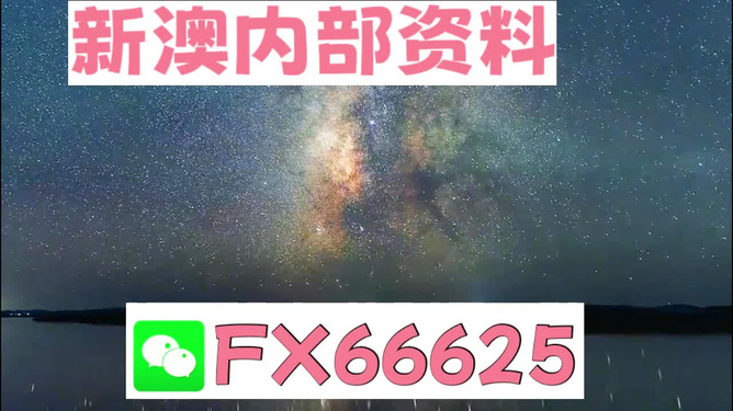 2024新澳天天免费资料-精选解释解析落实