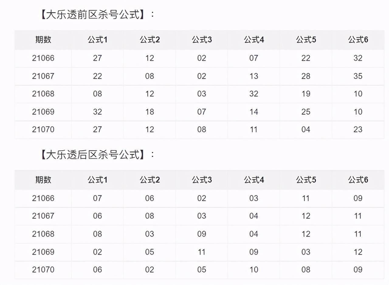 2025澳门免费精准6肖,澳门彩票预测与未来展望，探索精准六肖的魅力