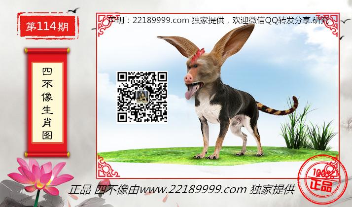 四不像特马图今晚必出,四不像特马图今晚必出——探寻神秘现象背后的真相