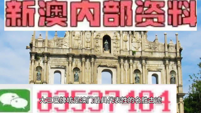 新澳门出今晚最准确一肖,新澳门出今晚最准确一肖，探索命运之轮的神秘面纱