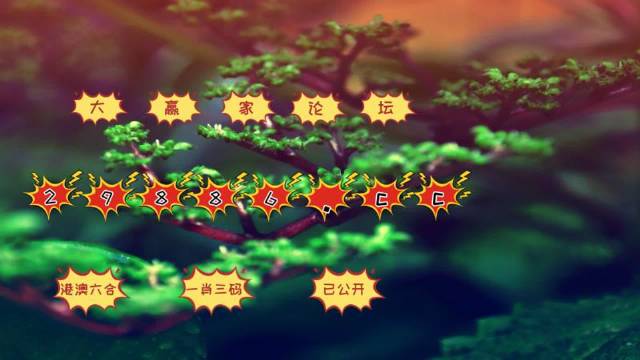 7777788888新版跑狗图论坛,探索新版跑狗图论坛，77777与88888的魅力交织