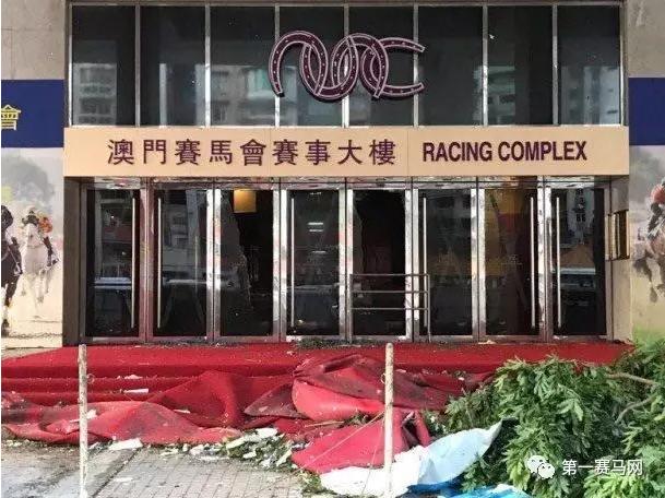 马会传真-澳门,马会传真与澳门的独特魅力