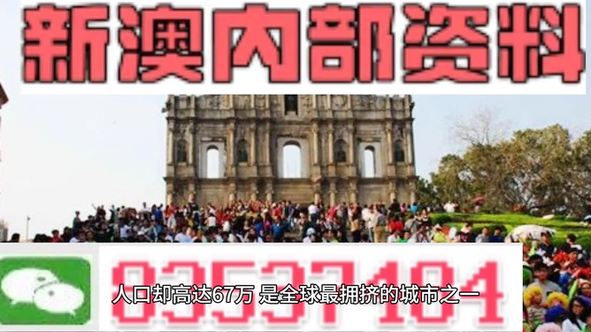 澳门正版免费全年资料大全旅游团,澳门正版免费全年资料大全与旅游团，探索澳门的魅力之旅