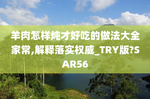 新澳2025年正版资料,新澳2025年正版资料深度解析