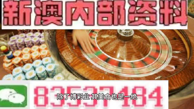 新澳2025年精准正版资料,新澳2025年精准正版资料，未来蓝图与深度解析