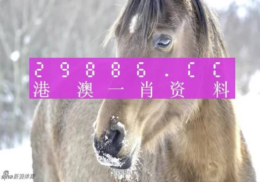 澳门精准一肖一码100%精准,澳门精准一肖一码，揭秘100%精准的奥秘